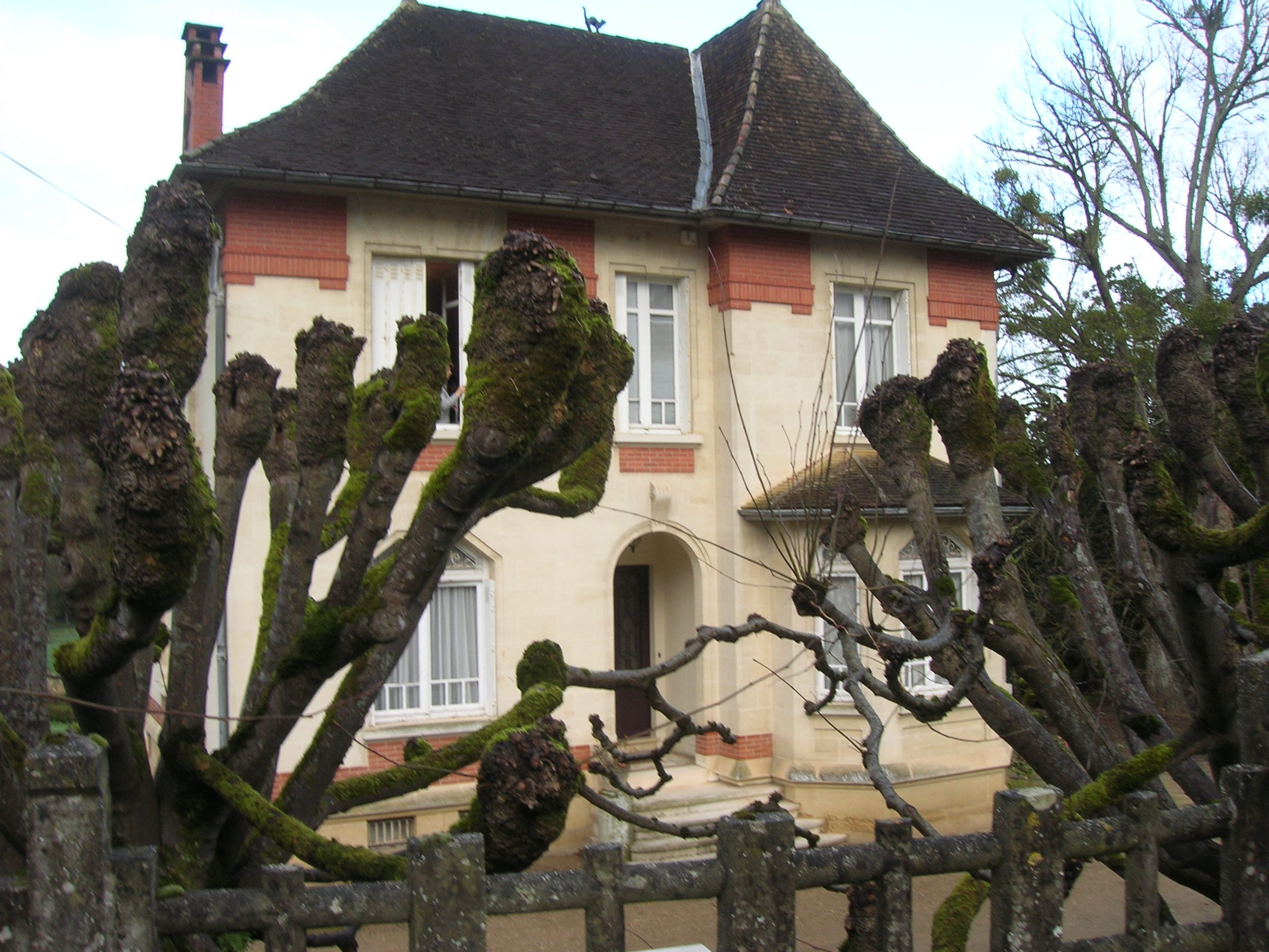 2020 02 18 09.06.00 scaled