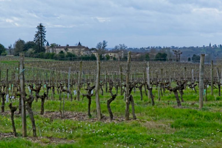08/2020 ST-GENES DE LOMBAUD – HAUX – ST-GENES DE LOMBAUD
