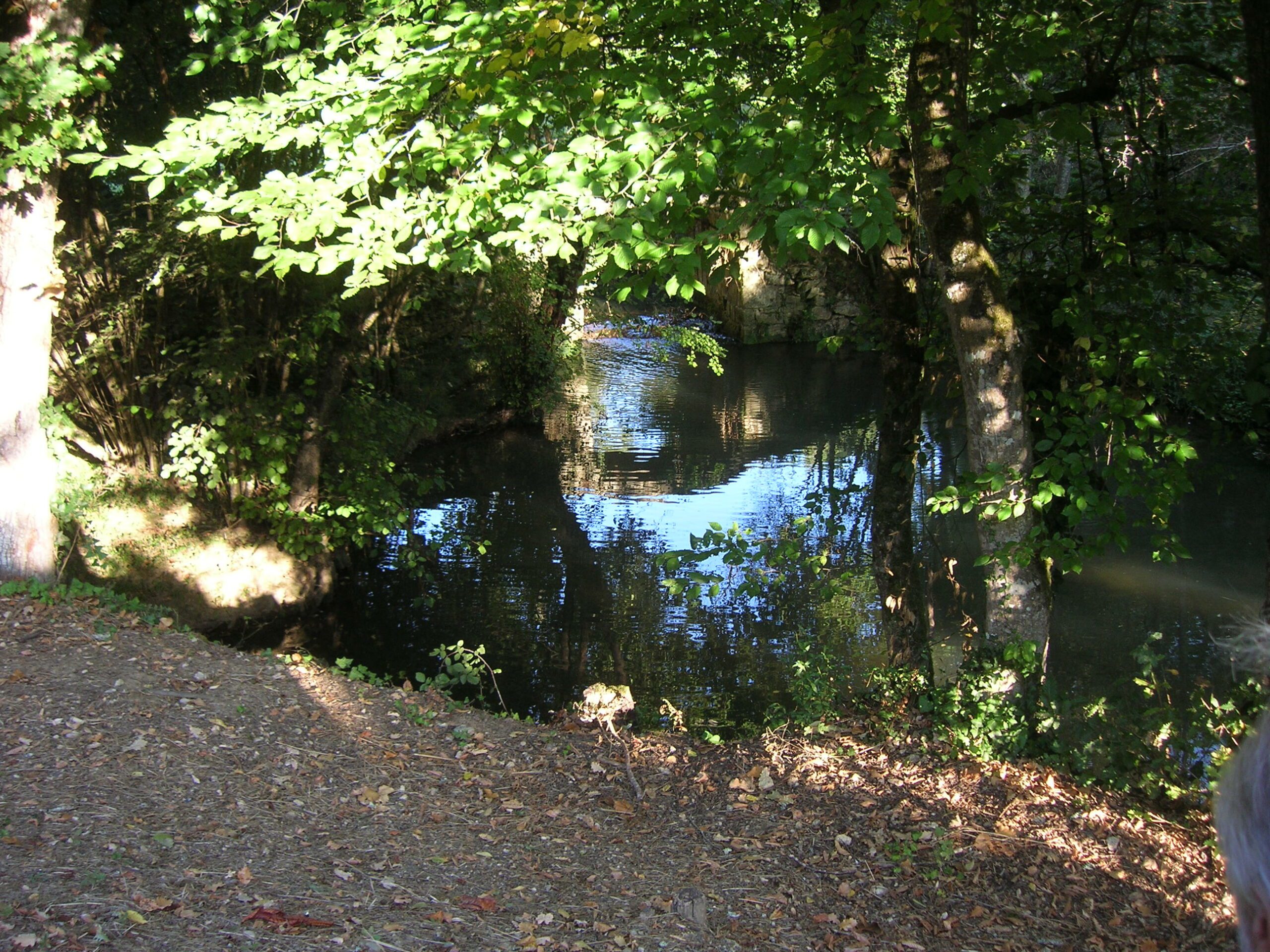 2020 09 12 09.06.36 scaled