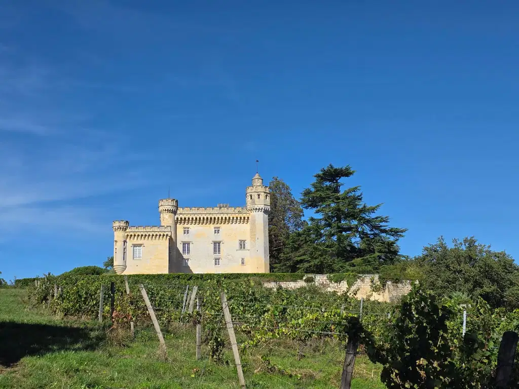 Le château de Camarsac.