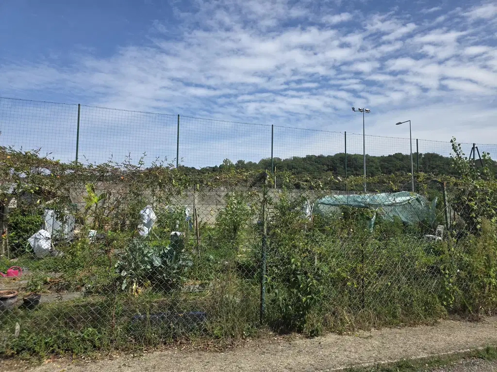 Les jardins potagers de la commune de Floirac.