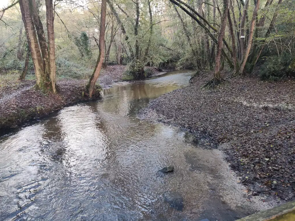 L'eau Bourde entre Canéjan et Cestas.