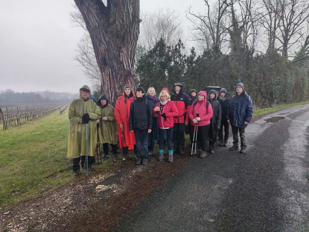 02 2026 RANDO LIGNAN ST AUBIN DE BRANNE 13