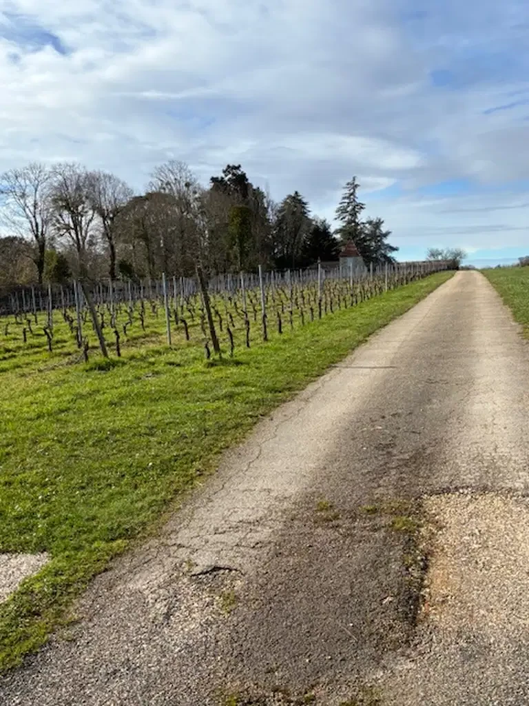 04 2026 Rando Lignan Saint Caprais 01