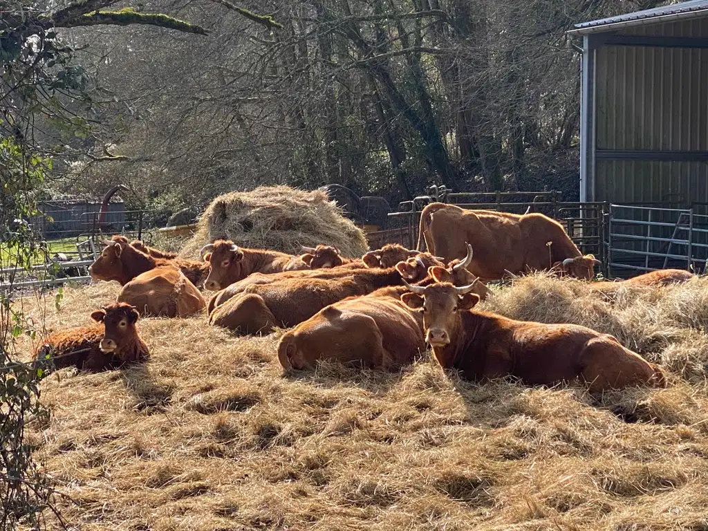 Rando-Lignan à Saint Caprais
