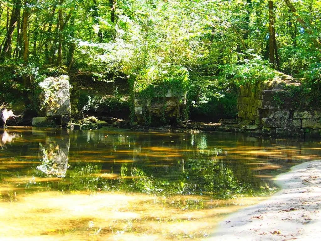 05 2026 Rando Lignan Saint Morillon 110