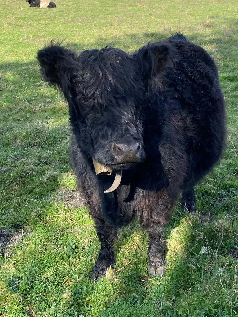 05 2026 Rando Lignan Saint Morillon 98