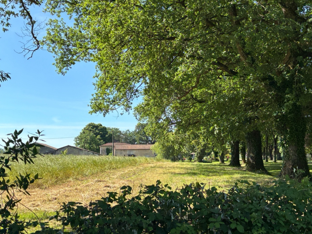 Randonnée printanière à Tresses avec Rando-Lignan