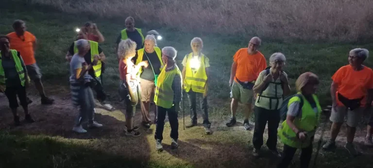 16/2026 Nocturne à Pompignac